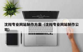 赵县沈阳专业网站制作方案（沈阳专业网站制作公司）